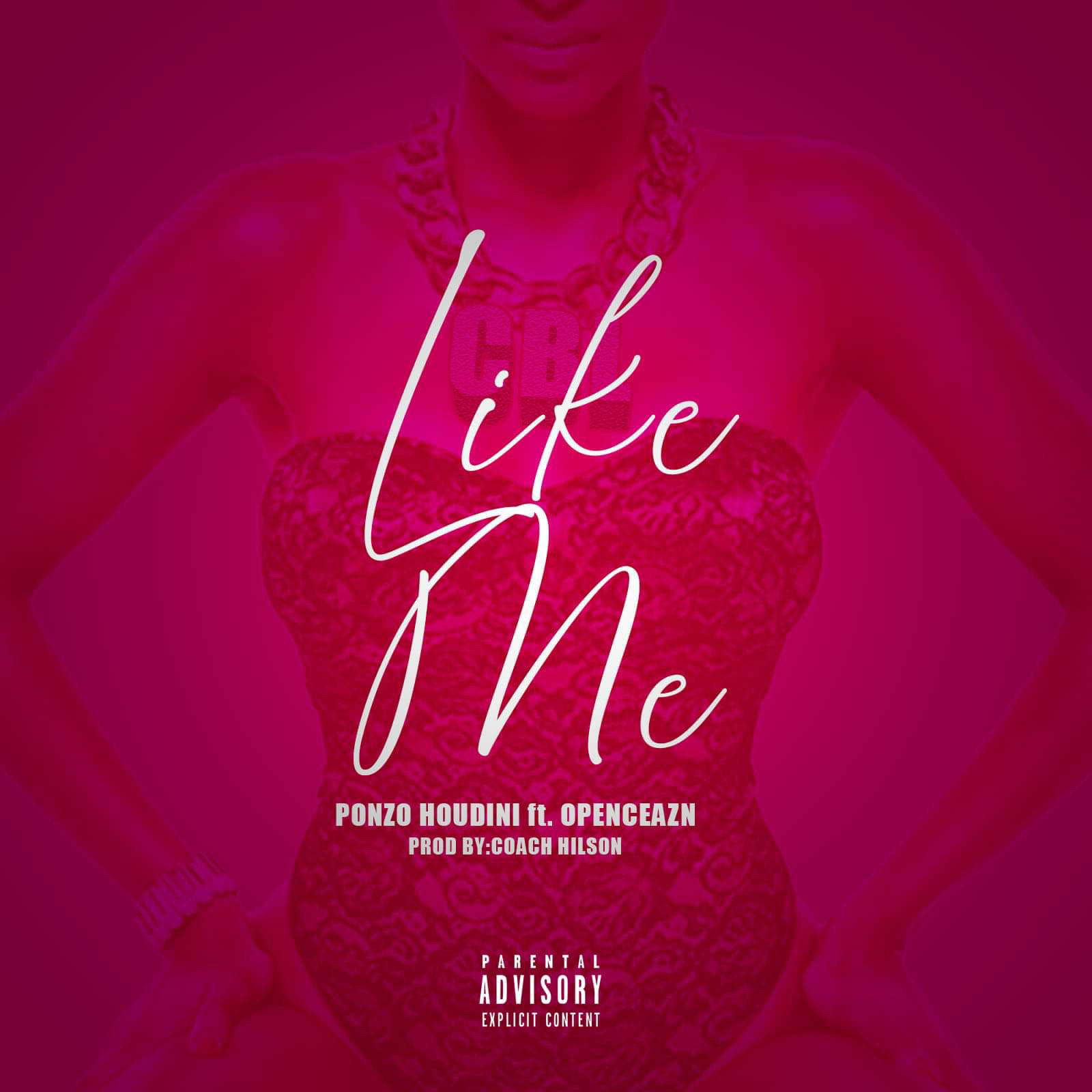 Ponzo Houdini – “Like Me” (New Video)